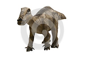 Hadrosaurus isolated on white background