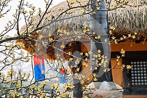 Haemieupseong Fortress at spring in Seosan, Korea