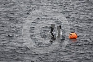 Haenyeo female divers or haenyo women diving scuba for keeping clam abalone shells in underwater in sea ocean at Iho Tewoo beach