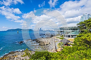 Haeundae Beach on DongbaekseomIsland of Camellias in Busan, So