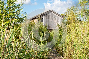 Haff Reimech, wetland in Luxembourg, path on a jetty through reed, wooden observation house for bird watching