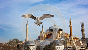 Hagia Sophia Ayasofya. Istanbul. Turkey.