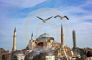 Hagia Sophia Ayasofya. Istanbul. Turkey.