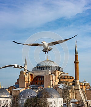 Hagia Sophia Ayasofya. Istanbul. Turkey.
