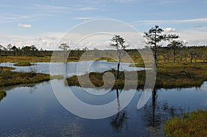 Hags in Kakerdaja Bog