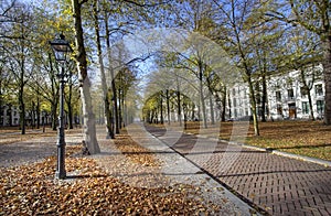 The Hague in Autumn