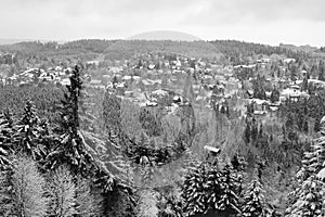 Hahnenklee (Harz, Germany)-in winter photo
