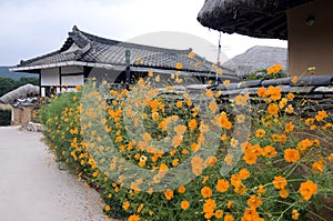 Hahoe Folk village, South korea