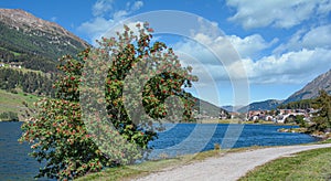 Haidersee or Lake Muta,Val Venosta,South Tirol,Italy