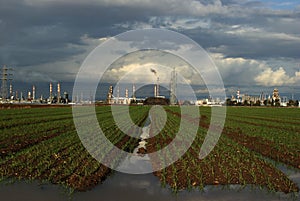 Haifa Oil Refineries