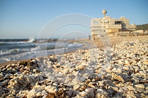 Haifa`s National Institute of Oceanography.