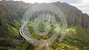 Haiku stairs, Hawaii photo