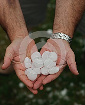 Hail in hands after the hailstorm