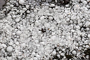 Hail sized with a larger coin, hailstones on the ground after hailstorm