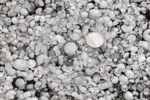 Hail sized with a larger coin, hailstones on the ground after hailstorm photo