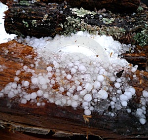 Hail on stacked firewood