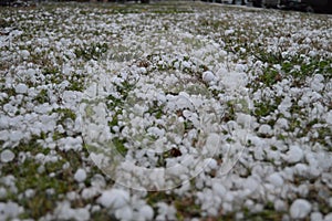 Hail Storm Aftermath