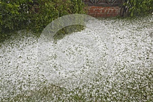 Hail Storm Disaster