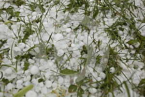 Hail Storm Disaster close up