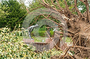 Hail storm effects in Germany. A city park in Bavaria. Broken trees after the storm. Destruction in the city.