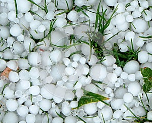 Hailstones covering grass photo