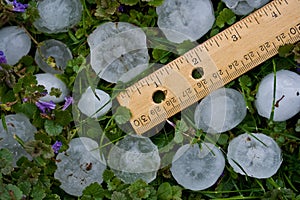 Hailstones from Severe Summer Storm