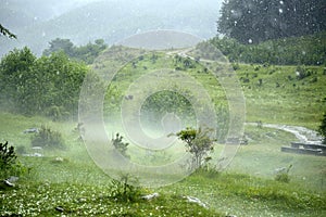 Hailstorm and fog in the forest