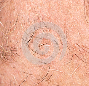 Hair of the beard. close-up photo