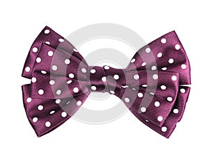 Hair bow circle pattern ribbon isolated