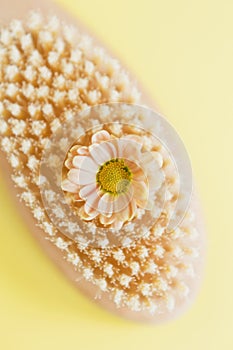 Hair brush, anti-cellulite brush with flower photo