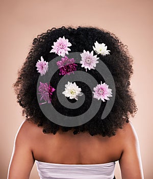 Hair care, back and beauty of black woman with flowers in studio isolated on a brown background. Sustainability, floral