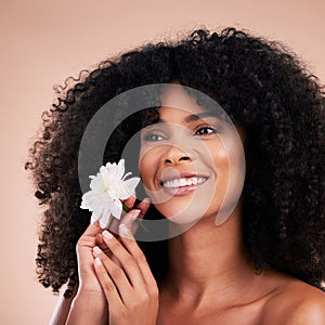Hair care, face and thinking black woman with flower in studio isolated on a brown background. Floral cosmetics, natural