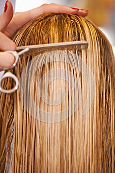 Hair care, hairdresser scissors and hands of woman cut hairstyle, grooming and cleaning in beauty salon. Hairdressing