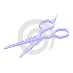 Hair care scissors icon isometric vector. Brush salon