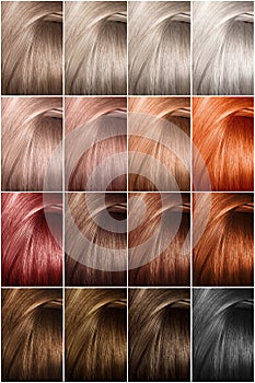Hair color palette with a wide range of samples. Samples of dyed hair dyes. photo