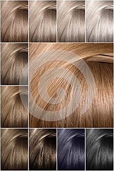 Hair color palette with a wide range of samples. Hair texture in different