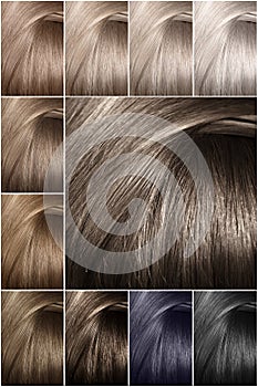 Hair color palette with a wide range of samples. Samples of colored hair colors. Shades of cold colors.