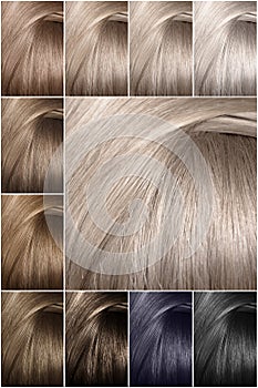 Hair color palette with a wide range of samples. Samples of colored hair colors. Shades of cold colors.