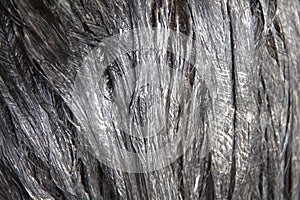 Hair coloring in a beauty salon