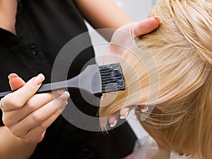Hair coloring in a beauty salon in blonde. photo