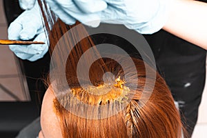 Hair Coloring In A Beauty Salon. Professional wizard paints the hair in the salon. Beauty concept, hair care