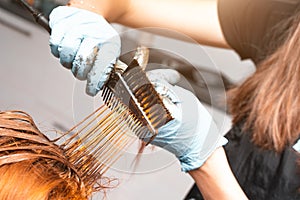 Hair Coloring In A Beauty Salon. Professional wizard paints the hair in the salon. Beauty concept, hair care