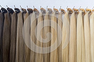 Hair Colors Palette. Hair Texture background, Hair colours set.