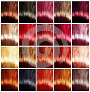 Hair colors palette. Tints