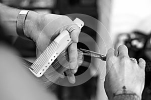 Hair cutting in the salon hairdresser, scissors close-up in the hands of the master