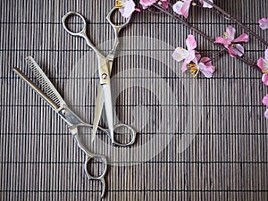 Hair cutting shears