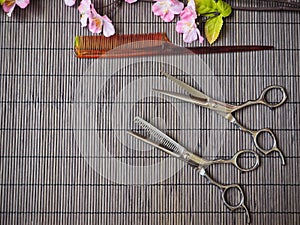 Hair cutting shears and comb