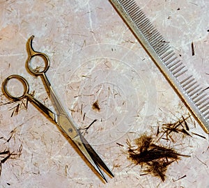 Hair cutting shears and comb against small cutting hair