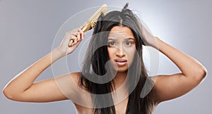 Hair, damage and portrait of woman with brush in studio for split end, haircare crisis and weak tips. Beauty