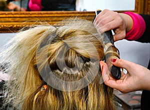 Hair dresser hands make curls with curling tongs close up photo